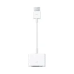 HDMI to DVI Adapter