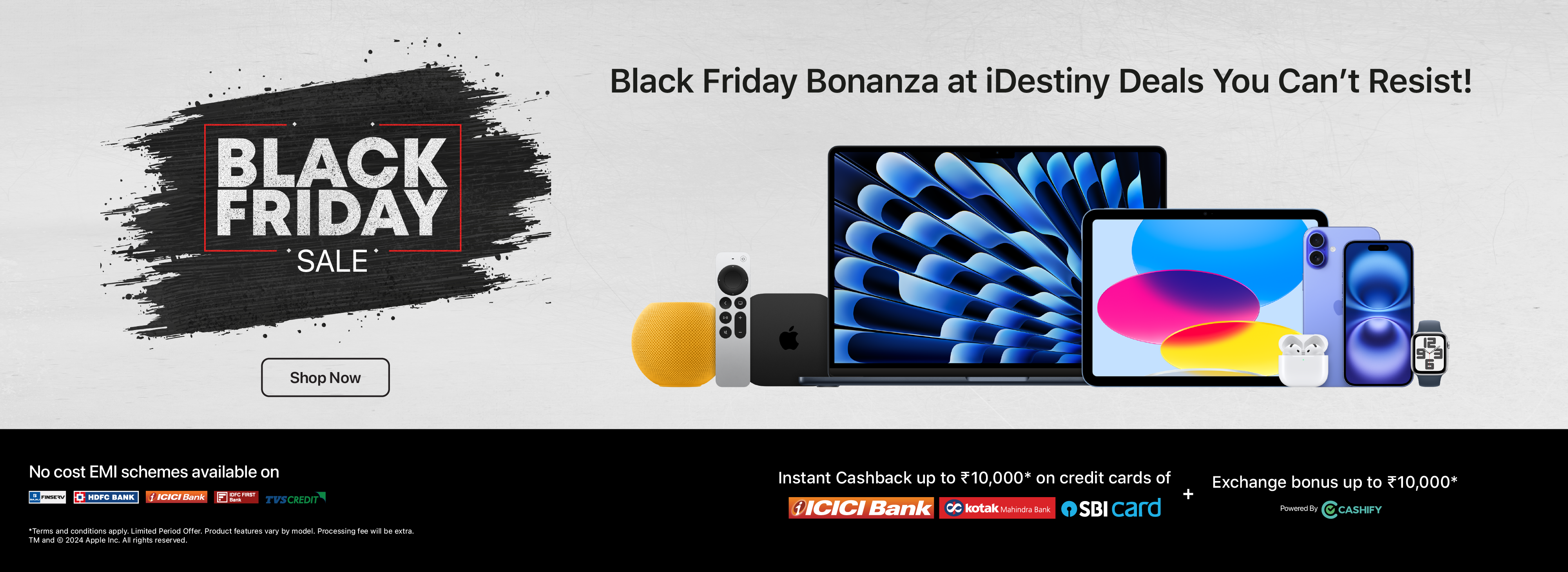 Black Friday Sale at iDestiny