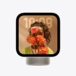 Apple HomeView