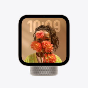 Apple HomeView