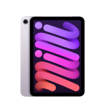 iPad mini (2)